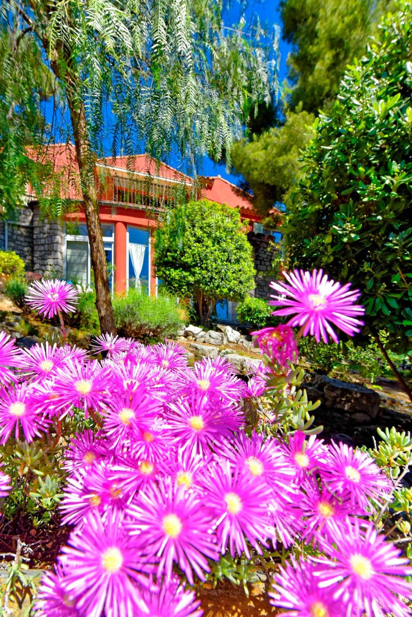 Appartements Avec Jardin Dans Villa Rocaille กาซีส์ ภายนอก รูปภาพ